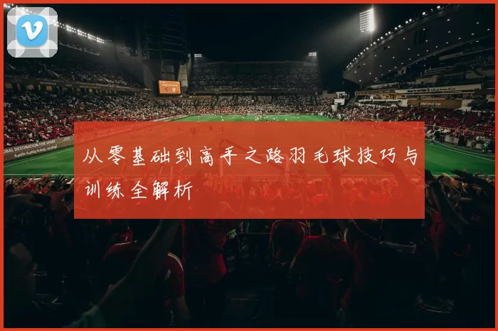 从零基础到高手之路羽毛球技巧与训练全解析